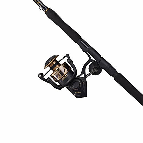 PENN Battle IV Spinning Reel and Fishing Rod Combo